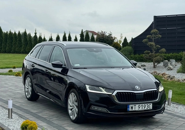 Skoda Octavia cena 105900 przebieg: 52700, rok produkcji 2021 z Bodzentyn małe 562